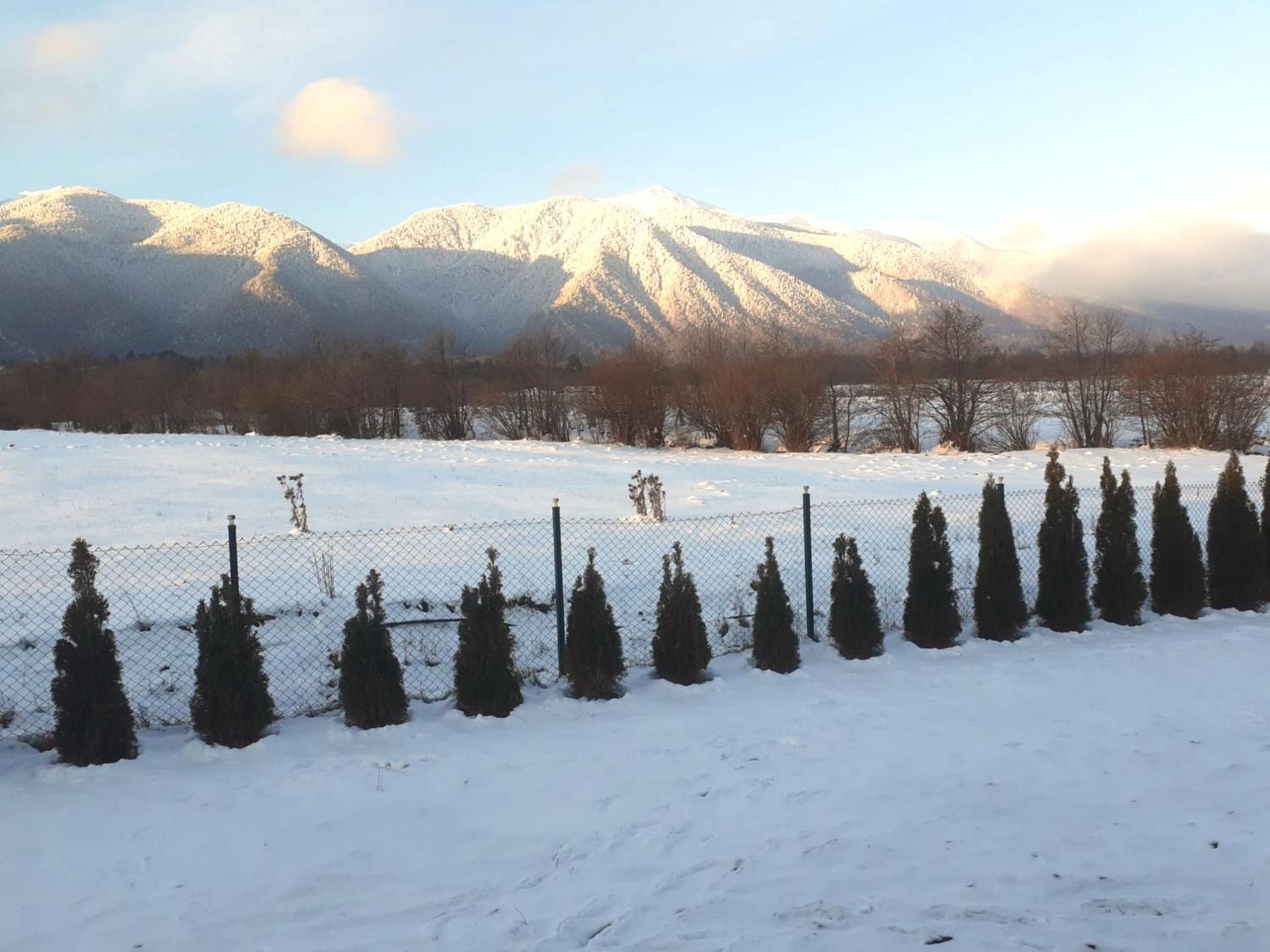 Villa Letizia Near The Pirin Golf Resort Bansko Ngoại thất bức ảnh